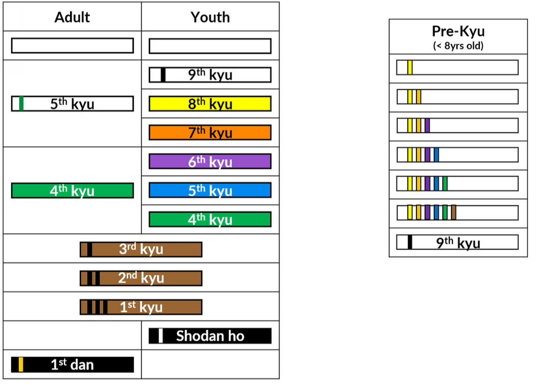 shotokan karate belts in order by color